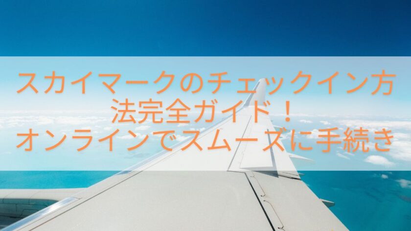 スカイマークのチェックイン方法完全ガイド！オンラインでスムーズに手続き